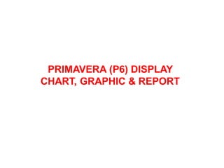 PRIMAVERA (P6) DISPLAY
CHART, GRAPHIC & REPORT
 