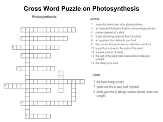 Cross Word Puzzle on Photosynthesis
 