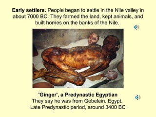Early settlers. People began to settle in the Nile valley in
about 7000 BC. They farmed the land, kept animals, and
built homes on the banks of the Nile.
'Ginger', a Predynastic Egyptian
They say he was from Gebelein, Egypt.
Late Predynastic period, around 3400 BC
 