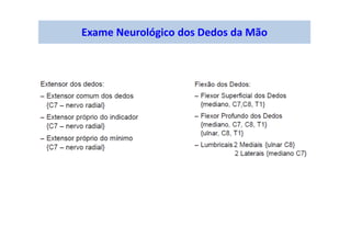 Exame Neurológico dos Dedos da Mão
 