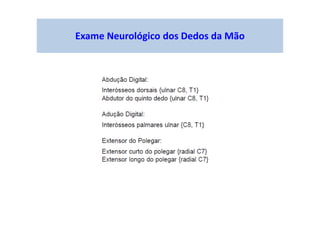 Exame Neurológico dos Dedos da Mão
 