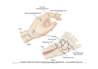 09/12/2015 Dr. José Heitor M. Fernandes 12
 