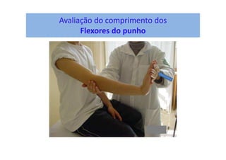 Avaliação do comprimento dos
Flexores do punho
 