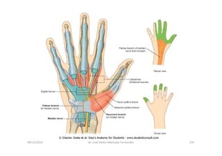 09/12/2015 Dr. José Heitor Machado Fernandes 237
 