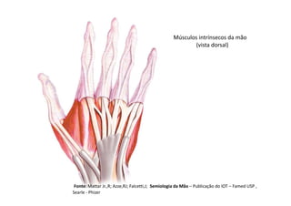 Músculos intrínsecos da mão
(vista dorsal)
Fonte: Mattar Jr.,R; Azze,RJ; Falcetti,J; Semiologia da Mão – Publicação do IOT – Famed USP ,
Searle - Phizer
 