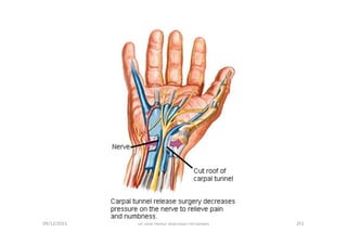 09/12/2015 Dr. José Heitor Machado Fernandes 251
 