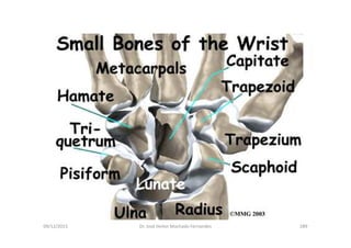 figura
09/12/2015 Dr. José Heitor Machado Fernandes 289
 