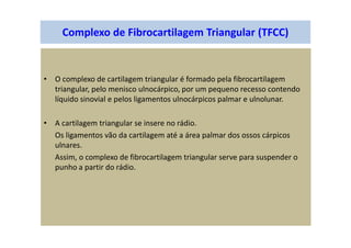 Complexo de Fibrocartilagem Triangular (TFCC)
• O complexo de cartilagem triangular é formado pela fibrocartilagem
triangular, pelo menisco ulnocárpico, por um pequeno recesso contendo
líquido sinovial e pelos ligamentos ulnocárpicos palmar e ulnolunar.
• A cartilagem triangular se insere no rádio.
Os ligamentos vão da cartilagem até a área palmar dos ossos cárpicos
ulnares.
Assim, o complexo de fibrocartilagem triangular serve para suspender o
punho a partir do rádio.
 
