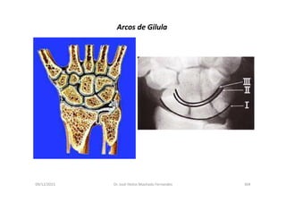 09/12/2015 Dr. José Heitor Machado Fernandes 304
Arcos de Gilula
 