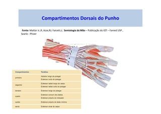 Compartimentos Dorsais do Punho
Fonte: Mattar Jr.,R; Azze,RJ; Falcetti,J; Semiologia da Mão – Publicação do IOT – Famed USP ,
Searle - Phizer
 