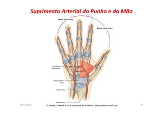09/12/2015 Dr. José Heitor Machado Fernandes 37
Suprimento Arterial do Punho e da Mão
 