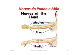 09/12/2015 Dr. José Heitor Machado Fernandes 39
Nervos do Punho e Mão
 