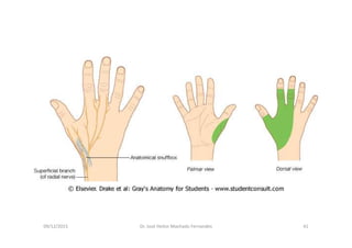 09/12/2015 Dr. José Heitor Machado Fernandes 41
 