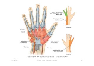 09/12/2015 Dr. José Heitor Machado Fernandes 45
 