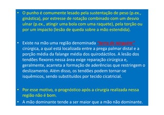 • O punho é comumente lesado pela sustentação de peso (p.ex.,
ginástica), por estresse de rotação combinado com um desvio
ulnar (p.ex., atingir uma bola com uma raquete), pela torção ou
por um impacto (lesão de queda sobre a mão estendida).
• Existe na mão uma região denominada “terra de ninguém”
cirúrgica, a qual está localizada entre a prega palmar distal e a
porção média da falange média dos quirodáctilos. A lesão dos
tendões flexores nessa área exige reparação cirúrgica e,
geralmente, acarreta a formação de aderências que restringem o
deslizamento. Além disso, os tendões podem tornar-se
isquêmicos, sendo substituídos por tecido cicatricial.
• Por esse motivo, o prognóstico após a cirurgia realizada nessa
região não é bom.
• A mão dominante tende a ser maior que a mão não dominante.
 