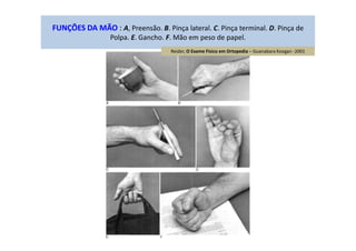 FUNÇÕES DA MÃO : A, Preensão. B. Pinça lateral. C. Pinça terminal. D. Pinça de
Polpa. E. Gancho. F. Mão em peso de papel.
Reider, O Exame Físico em Ortopedia – Guanabara Koogan -2001
 