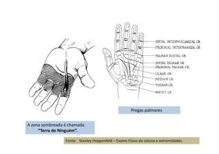 A zona sombreada é chamada
“Terra de Ninguém”.
Pregas palmares
Fonte: Stanley Hoppenfeld – Exame Físico da coluna e extremidades.
 