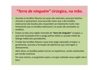 “Terra de ninguém” cirúrgica, na mão.
• Quando os tendões flexores (os quais são redondos, possuem bainhas
sinoviais e apresentam uma excursão maior que a dos tendões
extensores) são lesados,eles respondem ao tratamento muito mais
lentamente que os tendões extensores ( os quais são achatados ou
ovóides).
• Existe na mão uma região chamada de “terra de ninguém” cirúrgica, a
qual está localizada entre a prega palmar distal e a porção média da
falange média dos quirodáctilos.
• A lesão dos tendões flexores nessa área exige reparação cirúrgica e,
geralmente, acarreta a formação de aderências que restringem o
deslizamento.
Além disso, os tendões podem tornar-se isquêmicos, sendo substituídos
por tecido cicatricial.
Por esse motivo, o prognóstico após a cirurgia realizada nessa região não é
bom.
 