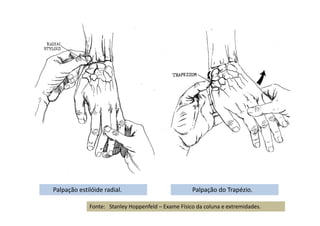 Palpação estilóide radial. Palpação do Trapézio.
Fonte: Stanley Hoppenfeld – Exame Físico da coluna e extremidades.
 