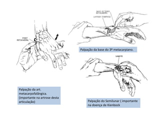 Palpação da art.
metacarpofalângica.
(importante na artrose desta
articulação)
Palpação da base do 3º metacarpiano.
Palpação do Semilunar ( importante
na doença de Kienbock
 