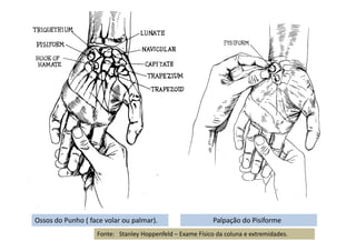 Ossos do Punho ( face volar ou palmar). Palpação do Pisiforme
Fonte: Stanley Hoppenfeld – Exame Físico da coluna e extremidades.
 