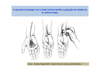 A oposição do polegar com o dedo mínimo facilita a palpação do tebdão do
m. palmar longo.
Fonte: Stanley Hoppenfeld – Exame Físico da coluna e extremidades.
 