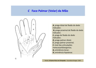 A, prega distal de flexão do dedo
indicador;
B, prega proximal de flexão do dedo
indicador;
C, prega de flexão do dedo
indicador;
D, prega palmar distal;
E, prega palmar proximal;
F, nível das articulações
metacarpofalangianas;
G, eminência tenar;
H, eminência hipotenar.
C Face Palmar (Volar) da Mão
Reider, O Exame Físico em Ortopedia – Guanabara Koogan -2001
 