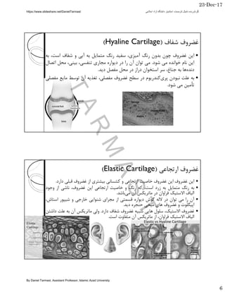 23-Dec-17
6
()Hyaline Cartilage(
*Km) D6m+= D()06
*A' >=" (.=9D"' ".)= F9)=F<J H9
' ")a F865+62 ""<H".
0CN" %A F! ?"VW6)=CHGc9Dn6 9b=CH
* o9=" (.
=N .9)Elastic Cartilage(
**0 >=N .9= L!+L2=C%&" ".
m+" 2)06!m0 >=N .9*)=(2" 8
@ +6B"p/ 9D( =.
D=9"B: I' "=+ &2.= F(=8 >h (): +6
M C- ?=5' .F1".
)@ +6BJ C6=%((" ".=p/ 9D0CN*+("
@ +6B)2p/ 9DM +06.
TARM
AST
/DanielTarmast ‫اﺳﻼﻣﯽ‬ ‫آزاد‬ ‫داﻧﺷﮕﺎه‬ ‫اﺳﺗﺎدﯾﺎر‬ ،‫ﺗﺎرﻣﺳت‬ ‫داﻧﯾﺎل‬ ‫ﮔردآورﻧده‬
By Daniel Tarmast, Assistant Professor, Islamic Azad Univeristy
 