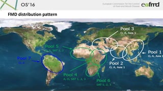 FMD distribution pattern
 