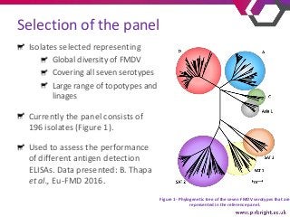 Selection of the panel
Isolates selected representing
Global diversity of FMDV
Covering all seven serotypes
Large range of...