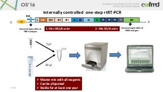 OS16
3DL VP4 VP2 VP3 2A 2B 2C 3A 3B 3CVP1
VPg
5’ 3’
IRES
3B 3B
Conserved region within all
FMDV serotypes
1- Mix IRES/B-ac...