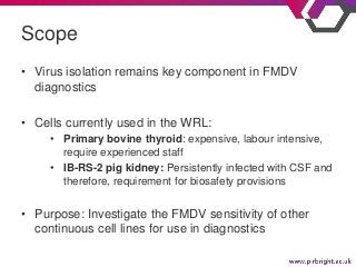 • Virus isolation remains key component in FMDV
diagnostics
• Cells currently used in the WRL:
• Primary bovine thyroid: e...