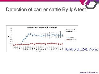 Detection of carrier cattle By IgA test
 