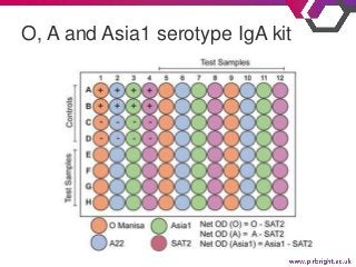 O, A and Asia1 serotype IgA kit
 