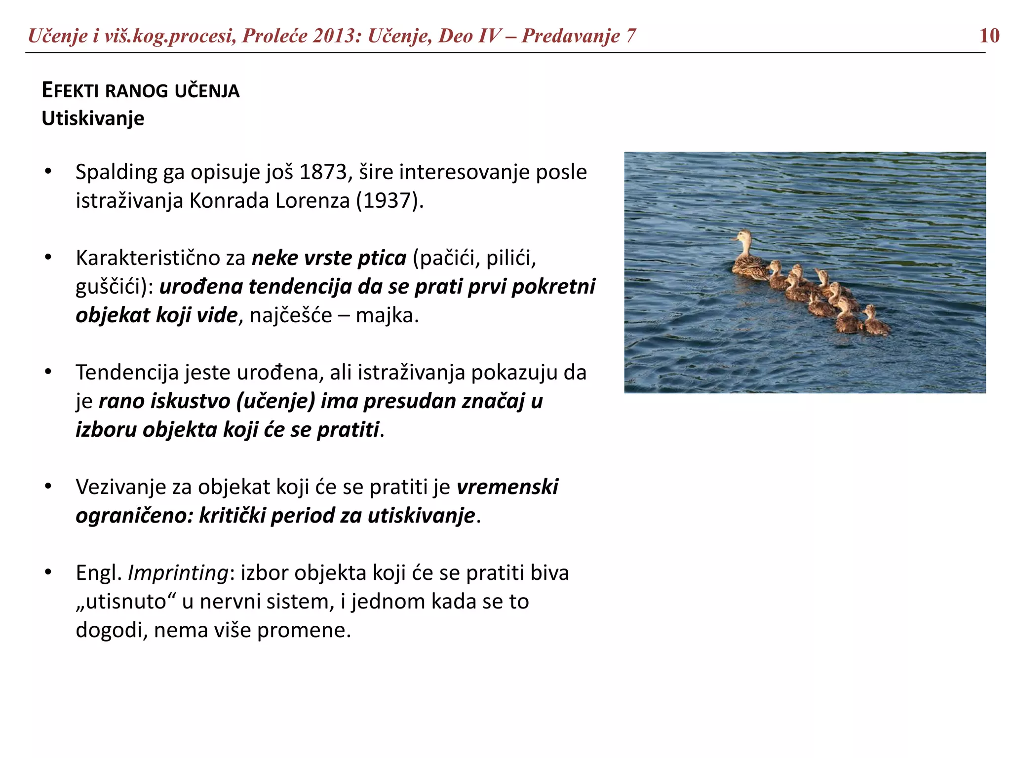 Učenje i viš.kog.procesi, Proleće 2013: Učenje, Deo IV – Predavanje 7 10
EFEKTI RANOG UČENJA
Utiskivanje
• Spalding ga opisuje još 1873, šire interesovanje posle
istraživanja Konrada Lorenza (1937).
• Karakteristično za neke vrste ptica (pačići, pilići,
guščići): urođena tendencija da se prati prvi pokretni
objekat koji vide, najčešće – majka.
• Tendencija jeste urođena, ali istraživanja pokazuju da
je rano iskustvo (učenje) ima presudan značaj u
izboru objekta koji će se pratiti.
• Vezivanje za objekat koji će se pratiti je vremenski
ograničeno: kritički period za utiskivanje.
• Engl. Imprinting: izbor objekta koji će se pratiti biva
„utisnuto“ u nervni sistem, i jednom kada se to
dogodi, nema više promene.
 