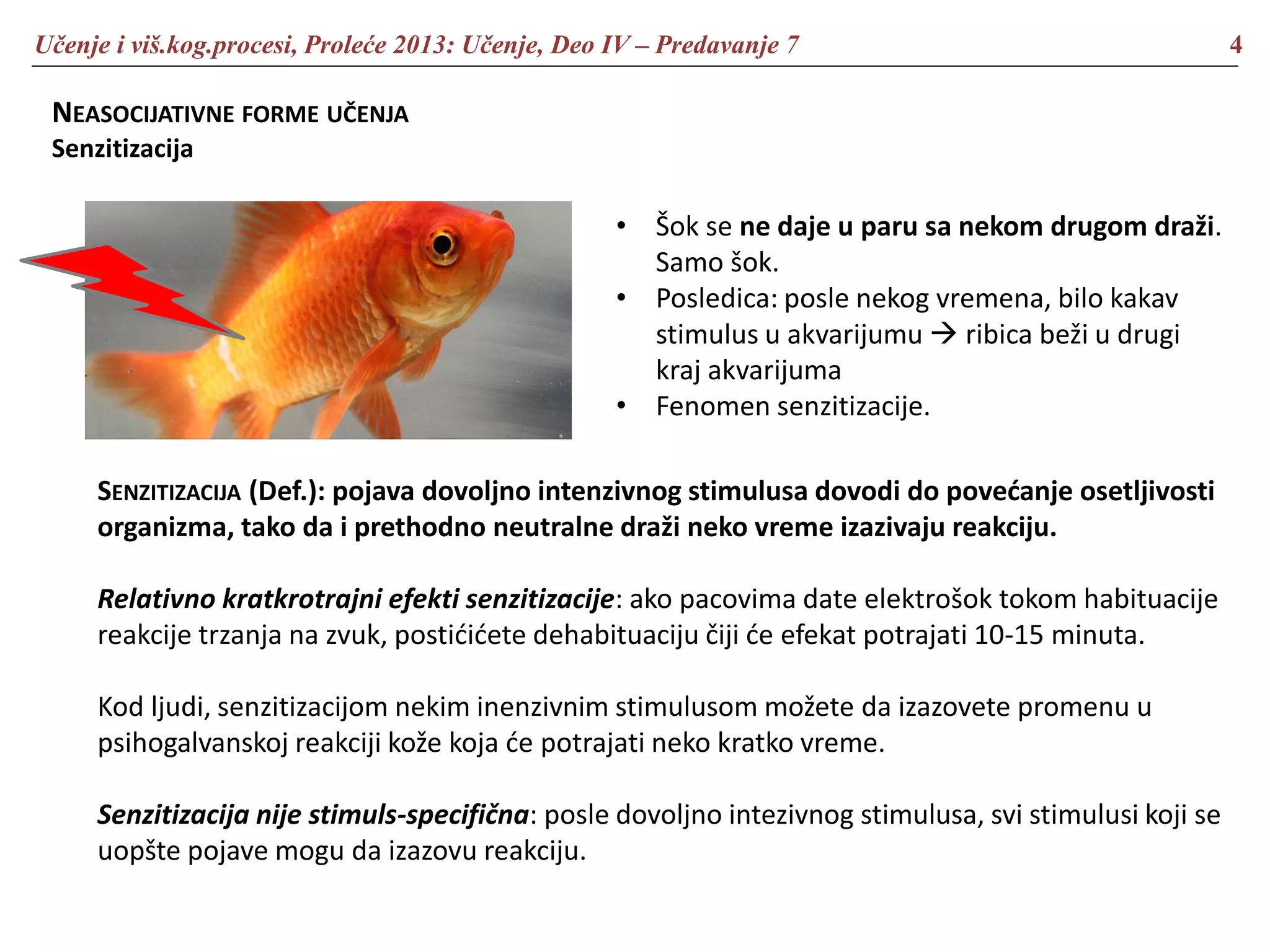 Učenje i viš.kog.procesi, Proleće 2013: Učenje, Deo IV – Predavanje 7 4
NEASOCIJATIVNE FORME UČENJA
Senzitizacija
• Šok se ne daje u paru sa nekom drugom draži.
Samo šok.
• Posledica: posle nekog vremena, bilo kakav
stimulus u akvarijumu  ribica beži u drugi
kraj akvarijuma
• Fenomen senzitizacije.
SENZITIZACIJA (Def.): pojava dovoljno intenzivnog stimulusa dovodi do povećanje osetljivosti
organizma, tako da i prethodno neutralne draži neko vreme izazivaju reakciju.
Relativno kratkrotrajni efekti senzitizacije: ako pacovima date elektrošok tokom habituacije
reakcije trzanja na zvuk, postićićete dehabituaciju čiji će efekat potrajati 10-15 minuta.
Kod ljudi, senzitizacijom nekim inenzivnim stimulusom možete da izazovete promenu u
psihogalvanskoj reakciji kože koja će potrajati neko kratko vreme.
Senzitizacija nije stimuls-specifična: posle dovoljno intezivnog stimulusa, svi stimulusi koji se
uopšte pojave mogu da izazovu reakciju.
 
