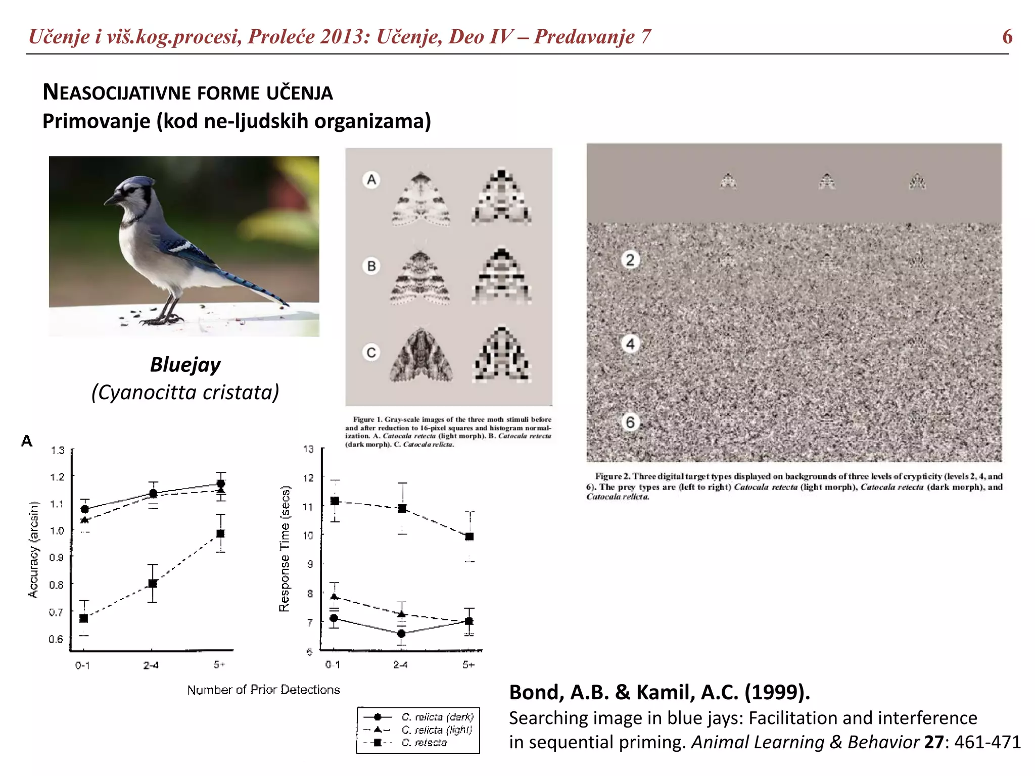 Učenje i viš.kog.procesi, Proleće 2013: Učenje, Deo IV – Predavanje 7 6
NEASOCIJATIVNE FORME UČENJA
Primovanje (kod ne-ljudskih organizama)
Bluejay
(Cyanocitta cristata)
Bond, A.B. & Kamil, A.C. (1999).
Searching image in blue jays: Facilitation and interference
in sequential priming. Animal Learning & Behavior 27: 461-471
 