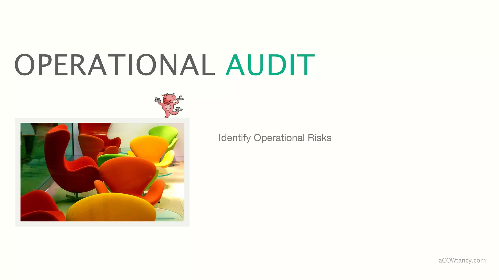 OPERATIONAL AUDIT

           Identify Operational Risks




                                        aCOWtancy.com
 
