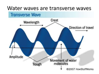 Water waves are transverse waves
