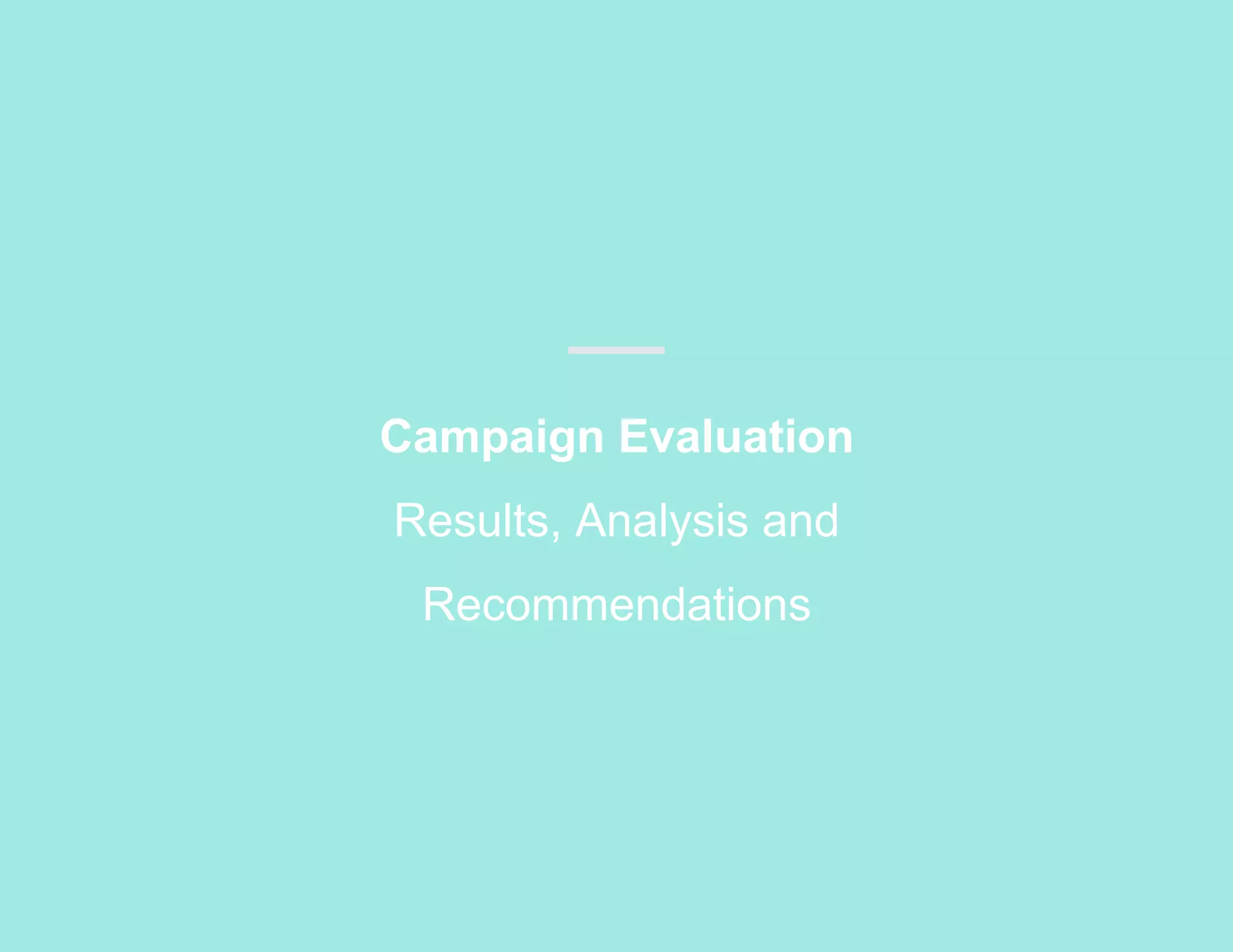Campaign Evaluation
Results, Analysis and
Recommendations
 