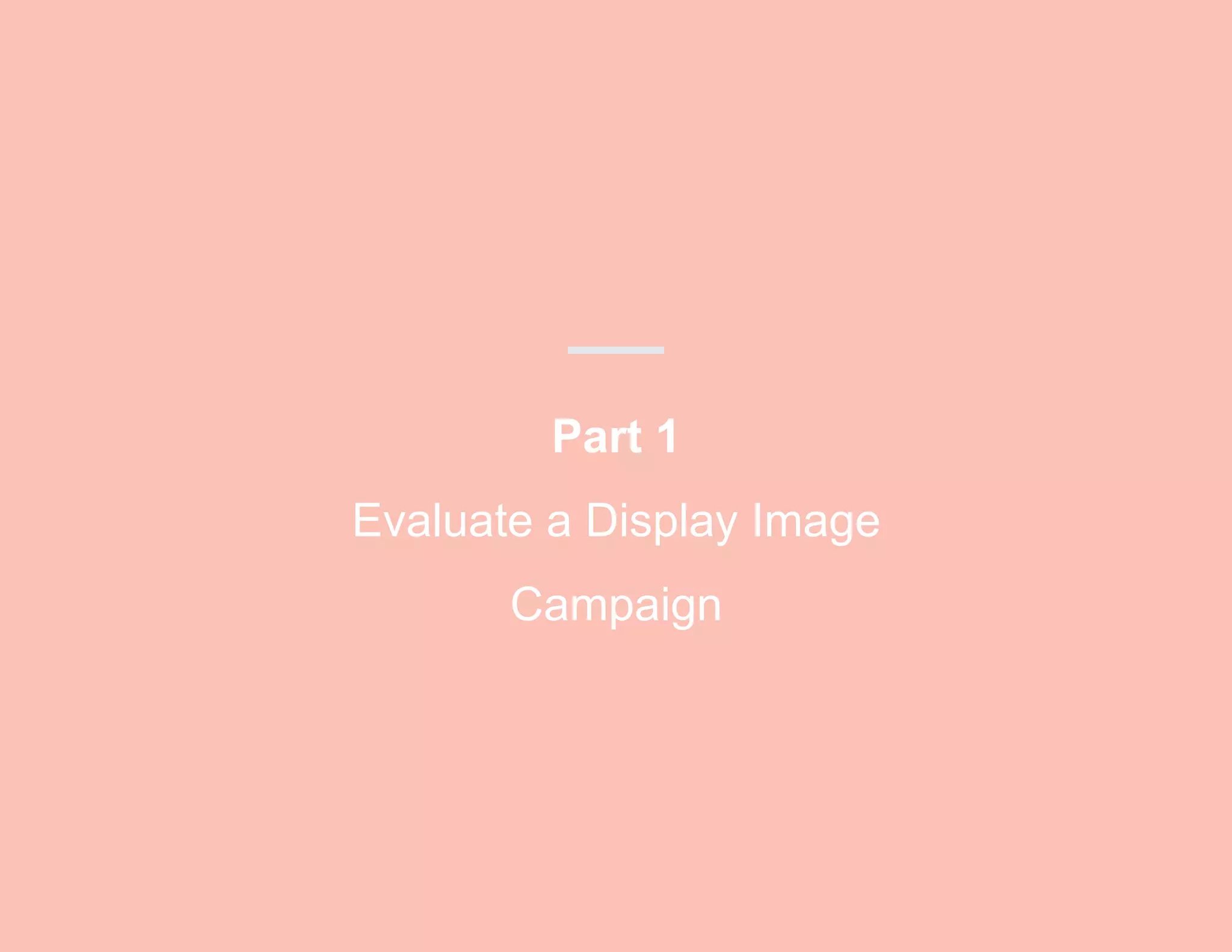 Part 1
Evaluate a Display Image
Campaign
 