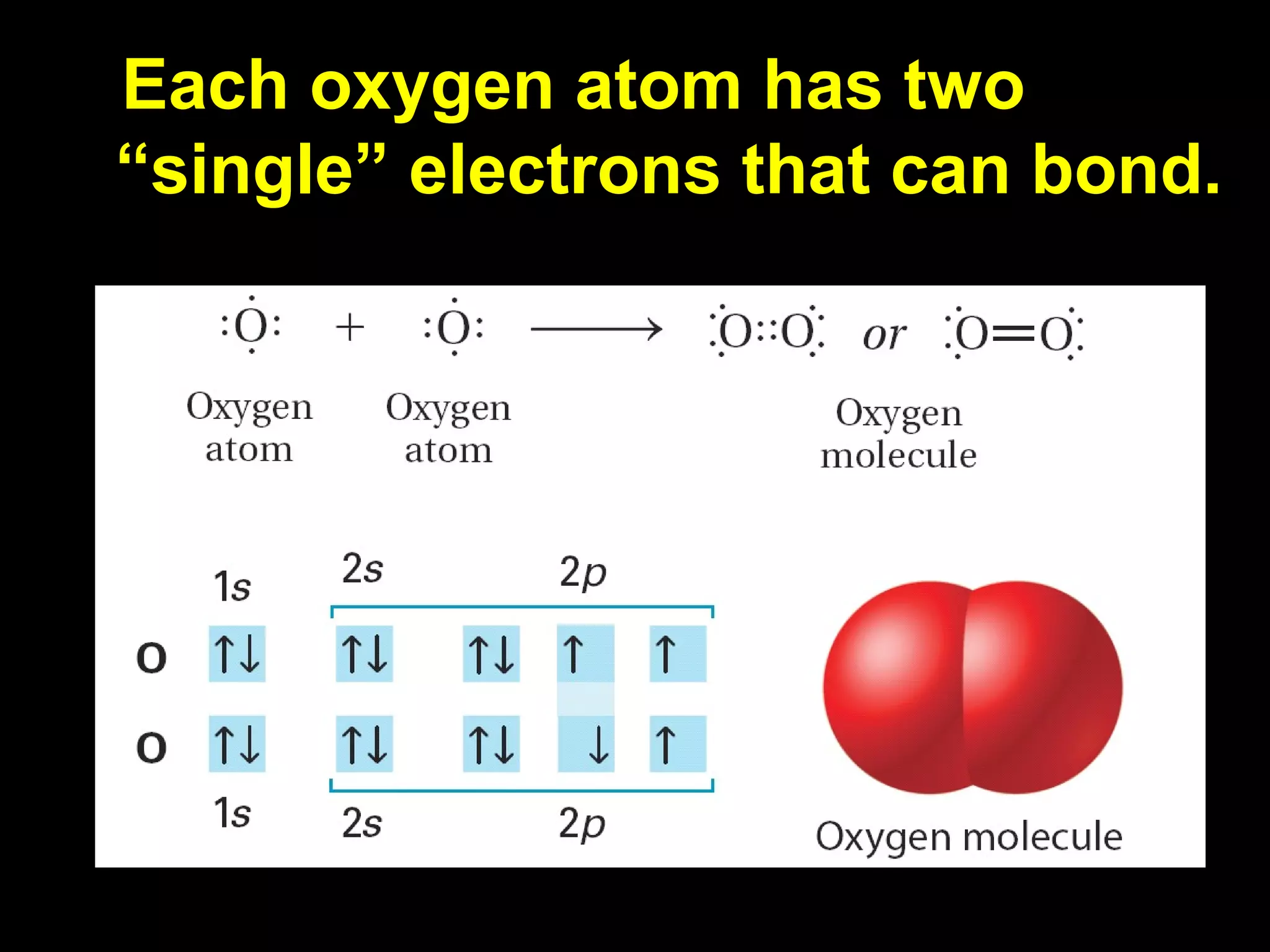 Each oxygen atom has two “single” electrons that can bond. 