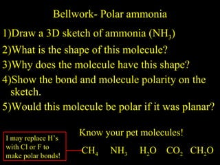 Bellwork- Polar ammonia ,[object Object],[object Object],[object Object],[object Object],[object Object],Know your pet molecules!  CH 4   NH 3   H 2 O  CO 2   CH 2 O I may replace H’s with Cl or F to make polar bonds! 