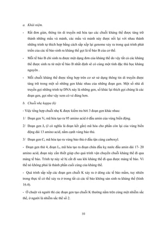 a. Khái niệm.
- Rất đơn giản, thông tin di truyền mã hóa tạo các chuỗi kháng thể được tàng trữ
thành những mẩu và mảnh, các mẩu và mảnh này được nối lại với nhau thành
những trình tự thích hợp bằng cách sắp xếp lại genome xảy ra trong quá trình phát
triển của các tế bào sinh ra kháng thể gọi là tế bào B của cơ thể.
- Mỗi tế bào B chỉ sinh ra được một dạng đơn của kháng thể do vậy tất cả các kháng
thể được sinh ra từ một tế bào B nhất định sẽ có cùng một tính đặc thù bọc kháng
nguyên .
- Mỗi chuỗi kháng thể được tổng hợp trên cơ sở sử dụng thông tin di truyền được
tàng trữ trong một số những gen khác nhau của những đoạn gen. Một số nhà di
truyền gọi những trình tự DNA này là những gen, số khác lại thích gọi chúng là các
đoạn gen, gọi như vậy xem có vẻ đúng hơn.
b. Chuỗi nhẹ kappa (k)
- Việc tổng hợp chuỗi nhẹ K được kiểm tra bởi 3 đoạn gen khác nhau:
1/ Đoạn gen Vk mã hóa tạo ra 95 amino acid ở đầu amin của vùng biến động.
2/ Đoạn gen Jk (J có nghĩa là đoạn kết gắn) mã hóa cho phần còn lại của vùng biến
động dài 13 amino acid, nằm cạnh vùng bảo thủ.
3/ Đoạn gen Ck mã hóa tạo ra vùng bảo thủ ở đầu tận cùng carboxyl.
- Đoạn gen thứ 4, đoạn Lk mã hóa tạo ra đoạn chứa đầu kỵ nước đầu amin dài 17- 20
amino acid, đoạn này cần thiết giúp cho quá trình vận chuyển chuỗi kháng thể đi qua
màng tế bào. Trình tự này sẽ bị cắt đi sau khi kháng thể đi qua được màng tế bào. Vì
thế nó không phải là thành phần cuối cùng của kháng thể.
- Quá trình sắp xếp các đoạn gen chuỗi K xảy ra ở dòng các tế bào mầm, tuy nhiên
trong thực tế có thể xảy ra ở trong tất cả các tế bào không sản sinh ra kháng thể (hình
16.4).
- Ở chuột và người thì các đoạn gen tạo chuỗi K thường nằm trên cùng một nhiễm sắc
thể, ở người là nhiễm sắc thể số 2.
10
 