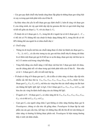 - Các gen quy định chuỗi nhẹ lamda cũng được lắp ghép từ những đoạn gen riêng biệt
và xảy ra trong quá trình phát triển của tế bào B.
- Sự khác nhau chủ yếu là mỗi đoạn gen quy định chuỗi Jλ luôn đi cùng với đoạn gen
Cλ của riêng mình, do vậy quá trình sắp xếp lại genome đòi hỏi có quá trình tổng hợp
và kết nối giữa các đoạn Lλ- Vλ với các đoạn Jλ- Cλ.
- Ở chuột chỉ có 4 đoạn gen Jλ- Cλ, trong khi đó ở người lại có tới 6 đoạn gen Jλ - C λ,
vì thế chỉ có 5% kháng thể của chuột là thuộc dạng kháng thể λ, trong khi đó có tới
40% kháng thể của người là có chứa chuỗi nhẹ λ.`
d. Chuỗi nặng
- Thông tin di truyền mã hóa các chuỗi nặng được tổ chức lại thành các đoạn gen LH-
– VH , JH và CH , có cấu trúc tương tự các gen mã hóa chuỗi nhẹ K nhưng chỉ khác
là có thêm một đoạn gen gọi là D để tạo ra sự đa dạng, đoạn gen này mã hóa tạo ra
từ 2-13 amino acid trong vùng biến động.
- Vùng biến động của chuỗi nặng vì thế được mã hóa bởi 3 đoạn gen tách rời nhau,
sau đó chúng phải nối với nhau trong quá trình phát triển của tế bào B. Hơn nữa
có từ 1- 4 đoạn gen CH đối với mỗi một lớp Ig.
- Ở chuột có tổng số 8 đoạn gen tạo CH , tất cả đều có chức năng và được sắp xếp trên
nhiễm sắc thể theo thứ tự CHu, CHδ, CHγ3, CHγ1, CHγ2b, CHγ2a, và CHα (hình 16.5a).
Đoạn gen CHu, CHδ, CHe và CHα mã hóa các vùng bảo thủ các chuỗi nặng của lần lượt
các kháng thể IgM, IgD, IgE và IgA. Còn 4 đoạn gen CHγ3, CHγ1, CHγ2b và CHγ2a mã
hóa cho các vùng ổn định chuỗi nặng của các kháng thể IgG.
- Ở người có 9 - 10 đoạn gen CH có chức năng đó là: CHu, CHδ, CHγ1, CHγ2, CHγ3, CHγ4,
CHe1 và có thể cả CHe2, CHα1 và CHα2.
- Cụm gen CH của người cũng chứa 2 gen không có chức năng thường được gọi là
Pseudogenes, chúng có cấu trúc rất giống nhau. Pseudogene là đoạn lặp lại một
phần của các gen cấu trúc, kết hợp với những thay đổi đủ lớn để trở nên không có
chức năng và thường là không được phiên mã. Pseudogene là hiện tượng thường
thấy ở sinh vật nhân chuẩn.
12
 