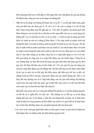 thế trong quá trình xảy ra kết gắn có liên quan đến việc nắp ghép các gen tạo kháng
thể thành thục cũng tạo nên sự đa dạng của kháng thể.
- Mặc dù sự đa dạng của kháng thể được tạo ra là do: 1/ sự kết gắn khác nhau giữa
một gia đình lớn các đoạn gen V, D với J và 2/ do việc sử dụng vị trí tái tổ hợp
khác nhau trong phản ứng kết gắn gây ra. Còn một số nghiên cứu đáng quan tâm
khác chứng tỏ còn có một số cơ chế nữa có liên quan đến việc tạo ra sự đa dạng các
kháng thể. Các cơ chế đưa ra trên cơ sở so sánh: 1/ Trình tự cặp Nu đoạn gen biểu
hiện với trình tự của nó ở dòng tế bào mầm, 2/ So sáng trình tự amino acid của
kháng thể thực với trình tự amino acid mong đợi từ trình tự các Nu của gen. Thí dụ
khi so sánh trình tự amino acid thực của các chuỗi λ1 của chuột khác nhau với trình
tự amino acid mong đợi (dựa trên trình tự cặp Nu của các đoạn gen λ1) của chuỗi
nhẹ λ1 cho thấy chúng có sự khác nhau rất rõ ở vùng biến động so với vị trí nối.
Kết quả tương tự cũng xẩy ra ở vùng biến động của các chuỗi nặng. Trong tất cả
các trường hợp, sự thay đổi là do kết quả của quá trình thay thế từng cặp Nu đơn
gây nên. Sự thay thế như vậy có thể chiếm từ 1-2% các cặp Nu của các đoạn gen
mã hóa vùng biến động của các kháng thể. Sự thay thế cặp nu này được thừa nhận
là do xảy ra một vài cơ chế gây đột biến soma, đột biến này chỉ xảy ra đối với
những trình tự DNA mã hóa vùng biến động của các chuỗi kháng thể. Bởi vì sự
thay đổi này thường xảy ra ở vùng biến động của các gen sinh kháng thể thường
xuyên hơn nên quá trình này được gọi là đột biến siêu soma. Cơ chế của đột biến
siêu soma xảy ra như thế nào hiện vẫn chưa rõ.
- Đột biến siêu soma xẩy ra ở vùng gen kháng thể mã hóa ra vị trí bọc kháng nguyên,
có thể rất có ý nghĩa đối với sinh vật. Nếu không có cơ chế tạo ra sự đa dạng
kháng thể này xảy ra thì phạm vi đặc thù của kháng thể có được sẽ cố định theo
trình tự hiện có trong genome tại thời điểm vừa sinh ra và quá trình tái tổ hợp được
tạo ra bởi mức độ khác nhau của các phản ứng kết gắn các đoạn gen.
- Các virut và ký sinh gây bệnh khác nhau có liên quan và tạo ra một cách ổn định các
biến dạng mới với những chất xác định kháng nguyên mới.
20
 