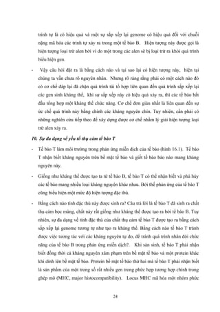 trình tự là có hiệu quả và một sự sắp xếp lại genome có hiệu quả đối với chuỗi
nặng mã hóa các trình tự xảy ra trong một tế bào B. Hiện tượng này được gọi là
hiện tượng loại trừ alen bởi vì do một trong các alen sẽ bị loại trừ ra khỏi quá trình
biểu hiện gen.
- Vậy câu hỏi đặt ra là bằng cách nào và tại sao lại có hiện tượng này, hiện tại
chúng ta vẫn chưa rõ nguyên nhân. Nhưng rõ ràng rằng phải có một cách nào đó
có cơ chế đáp lại đã chặn quá trình tái tổ hợp liên quan đến quá trình sắp xếp lại
các gen sinh kháng thể, khi sự sắp xếp này có hiệu quả xảy ra, thì các tế bào bắt
đầu tổng hợp một kháng thể chức năng. Cơ chế đơn giản nhất là liên quan đến sự
ức chế quá trình này bằng chính các kháng nguyên chín. Tuy nhiên, cần phải có
những nghiên cứu tiếp theo để xây dựng được cơ chế nhằm lý giải hiện tượng loại
trừ alen xảy ra.
10. Sự đa dạng về yếu tố thụ cảm tế bào T
- Tế bào T làm môi trường trong phản ứng miễn dịch của tế bào (hình 16.1). Tế bào
T nhận biết kháng nguyên trên bề mặt tế bào và giết tế bào bào nào mang kháng
nguyên này.
- Giống như kháng thể được tạo ta từ tế bào B, tế bào T có thể nhận biết và phá hủy
các tế bào mang nhiều loại kháng nguyên khác nhau. Bởi thế phản ứng của tế bào T
cũng biểu hiện một mức độ hiện tượng đặc thù.
- Bằng cách nào tính đặc thù này được sinh ra? Câu trả lời là tế bào T đã sinh ra chất
thụ cảm bọc màng, chất này rất giống như kháng thể được tạo ra bởi tế bào B. Tuy
nhiên, sự đa dạng về tính đặc thù của chất thụ cảm tế bào T được tạo ra bằng cách
sắp xếp lại genome tương tự như tạo ra kháng thể. Bằng cách nào tế bào T tránh
được việc tương tác với các kháng nguyên tự do, để tránh quá trình nhân đôi chức
năng của tế bào B trong phản ứng miễn dịch?. Khi sản sinh, tế bào T phải nhận
biết đồng thời cả kháng nguyên xâm phạm trên bề mặt tế bào và một protein khác
khi dính lên bề mặt tế bào. Protein bề mặt tế bào thứ hai mà tế bào T phải nhận biết
là sản phẩm của một trong số rất nhiều gen trong phức hợp tương hợp chính trong
ghép mô (MHC, major histocompatibility). Locus MHC mã hóa một nhóm phức
24
 