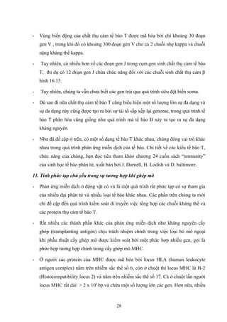 - Vùng biến động của chất thụ cảm tế bào T được mã hóa bởi chỉ khoảng 30 đoạn
gen V , trong khi đó có khoảng 300 đoạn gen V cho cả 2 chuỗi nhẹ kappa và chuỗi
nặng kháng thể kappa.
- Tuy nhiên, có nhiều hơn về các đoạn gen J trong cụm gen sinh chất thụ cảm tế bào
T, thí dụ có 12 đoạn gen J chứa chức năng đối với các chuỗi sinh chất thụ cảm β
hình 16.13.
- Tuy nhiên, chúng ta vẫn chưa biết các gen trải qua quá trình siêu đột biến soma.
- Dù sao đi nữa chất thụ cảm tế bào T cũng biểu hiện một số lượng lớn sự đa dạng và
sự đa dạng này cũng được tạo ra bởi sự tái tổ sắp xếp lại genome, trong quá trình tế
bào T phân hóa cũng giống như quá trình mà tế bào B xảy ra tạo ra sự đa dạng
kháng nguyên.
- Như đã đề cập ở trên, có một số dạng tế bào T khác nhau, chúng đóng vai trò khác
nhau trong quá trình phản ứng miễn dịch của tế bào. Chi tiết về các kiểu tế bào T,
chức năng của chúng, bạn đọc nên tham khảo chương 24 cuốn sách “immunity”
của sinh học tế bào phân tử, xuất bản bởi J. Darnell, H. Lodish và D. baltimore.
11. Tính phức tạp chủ yếu trong sự tương hợp khi ghép mô
- Phản ứng miễn dịch ở động vật có vú là một quá trình rất phức tạp có sự tham gia
của nhiều đại phân tử và nhiều loại tế bào khác nhau. Các phần trên chúng ta mới
chỉ đề cập đến quá trình kiểm soát di truyền việc tổng hợp các chuỗi kháng thể và
các protein thụ cảm tế bào T.
- Rất nhiều các thành phần khác của phản ứng miễn dịch như kháng nguyên cấy
ghép (transplanting antigen) chịu trách nhiệm chính trong việc loại bỏ mô ngoại
khi phẫu thuật cấy ghép mô được kiểm soát bởi một phức hợp nhiều gen, gọi là
phức hợp tương hợp chính trong cấy ghép mô MHC.
- Ở người các protein của MHC được mã hóa bởi locus HLA (human leukocyte
antigen complex) nằm trên nhiễm sắc thể số 6, còn ở chuột thì locus MHC là H-2
(Histocompatibility locus 2) và nằm trên nhiễm sắc thể số 17. Cả ở chuột lẫn người
locus MHC rất dài > 2 x 106
bp và chứa một số lượng lớn các gen. Hơn nữa, nhiều
28
 