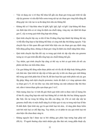 - Việc sử dụng các vị trí thay thế nhau kết gắn các đoạn gen trong quá trình tái sắp
xếp lại genome và siêu đột biến soma trong nội tại các đoạn gen vùng biến động đã
đóng góp vào việc tạo ra sự đa dạng hơn nữa các kháng thể.
- Kháng thể có 5 lớp khác nhau là IgM, IgD, IgG, IgE và IgH. Lớp kháng thể được
xác định dựa trên cơ sở vùng ổn định của chuỗi nặng, vùng này xác định bởi đoạn
gen C, xẩy ra trong quá trình tổng hợp nên chúng.
- Quá trình chuyển lớp xảy ra khi tế bào B dừng tổng hợp thành lớp kháng thể này
và bắt đầu tổng hợp ra lớp kháng thể khác có cùng tính đặc thù kháng nguyên. Việc
chuyển lớp có liên quan đến quá trình biểu hiện của các đoạn gen quy định vùng
biến động giống nhau, nhưng có đoạn gen vùng ổn định của chuỗi nặng khác nhau.
- Quá trình chuyển lớp hầu hết xảy ra trong quá trình tái sắp xếp nữa của genome
tương tự với quá trình dẫn đến tổng hợp các chuỗi kháng thể gốc.
- Tuy nhiên, quá trình chuyển lớp cũng có thể xảy ra bởi cả quá trình cắt nối các
phiên mã theo các kiểu khác nhau.
- Các gen kháng thể dòng mầm được phiên mã với tốc độ rất thấp hoặc không phiên
mã chút nào. Quá trình tái sắp xếp có hiệu quả xẩy ra khi các đoạn gen sinh kháng
thể trong quá trình phân hóa tế bào B, đã làm hoạt hóa quá trình phiên mã các gen
lắp ghép, bằng cách dịch chuyển promoter, trước đó định vị ở vùng uptream nằm
xa đoạn gen L-V, đi vào khu vực chịu ảnh hưởng của một enhancer đặc thù theo
mô, nằm ở intron đoạn giữa cụm đoạn gen J và C.
- Hiện tượng chọn lọc vô tính đã giải thích quá trình sinh ra được một số lượng lớn
tế bào B, cùng tổng hợp nên một loại kháng thể có tính đặc thù bọc kháng nguyên
đặc biệt, tồn tại trong hệ thống lưu dẫn của động vật. Chỉ có một sắp xếp lại
genome chuỗi nhẹ và một chuỗi nặng là có hiệu quả và xảy ra trong một loại tế bào
B nhất định. Quá trình này gọi là quá trình loại trừ alen, rõ ràng phải được kiểm
soát bởi một loại cơ chế đáp ứng. Tuy nhiên, cơ sở phân tử của quá trình loại trừ
alen hiện vẫn chưa được sáng tỏ.
- Kháng nguyên lớp I được tạo ra bởi những gen phức hợp tương hợp ghép mô
(HLA). Ở người thường chịu trách nhiệm gây đào thải mô, trong phẫu thuật cấy
32
 