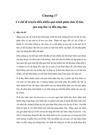 Chương 17
Cơ chế di truyền điều khiển quá trình phân chia tế bào,
gen ung thư và tiền ung thư
I. Đặt vấn đề
- Bằng cách nào để một tế bào biết được mình đã sinh trưởng đủ lớn rồi khi đó nên
phân chia và sản sinh ra tế bào con cháu. Thậm chí ngay đối với các tế bào vi
khuẩn E. coli hiện chúng ta vẫn chưa rõ cơ chế phân tử nào xẩy ra mà qua đó tế
bào có thể đo được thể tích của mình tại một thời điểm xác định, rồi bắt đầu phân
chia vào đúng thời điểm đã định.
- Hiện chúng ta chỉ biết quá trình bắt đầu tái bản nhiễm sắc thể được kiểm soát chính
xác phụ thuộc vào điều kiện sinh trưởng. Hơn thế nữa rất nhiều các đại phân tử có
liên quan đến quá trình bắt đầu quá trình tái bản nhiễm sắc thể đã được nhận diện ở
vi khuẩn E.coli rất đáng tiếc mặc dù có một số mô hình được đề xuất nhằm giải
thích bằng cách nào các tế bào duy trì được tỷ lệ đảm bảo chính xác so với thể tích
tế bào, chi tiết điều khiển cơ chế điều khiển phân chia tế bào hiện vẫn chưa rõ.
- Ở tế bào nhân chuẩn, kiểm soát quá trình phân bào xẩy ra phức tạp hơn nhiều so
với sinh vật tiền nhân, bởi vì không những quá trình nhân đôi nhiễm sắc thể và
hình thành tế bào cần được điều khiển mà các thành phần khác của bộ máy phân
bào cần phải được hình thành và có chức năng tại một thời điểm chính xác của chu
kỳ tế bào.
- Ở tế bào nấm men Saccharomyces cerevisia quá trình phân bào được phân tách
thành từng công đoạn, nhờ phân lập và nghiên cứu một số dạng đột biến mẫn cảm
với nhiệt độ, chúng bị khóa tại các giai đoạn khác nhau của chu kỳ tế bào. Gen đột
biến ký hiệu là cdc điều khiển làm mất khả năng phân chia. Bằng cách xác định
các giai đoạn chu kỳ tế bào mà tại đó dạng đột biến cdc khác nhau bị cản trở. Các
nhà di truyền học đang bắt đầu xác định trình tự các sự kiện xảy ra trong quá trình
sinh trưởng và phân chia của tế bào. Nếu sản phẩm của các gen cdc này được nhận
diện và chức năng của chúng được xác định, thì chúng ta có thể xác định được quá
34
 